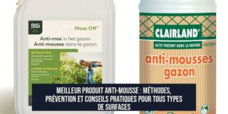Meilleur produit anti-mousse : méthodes, prévention et conseils pratiques pour tous types de surfaces