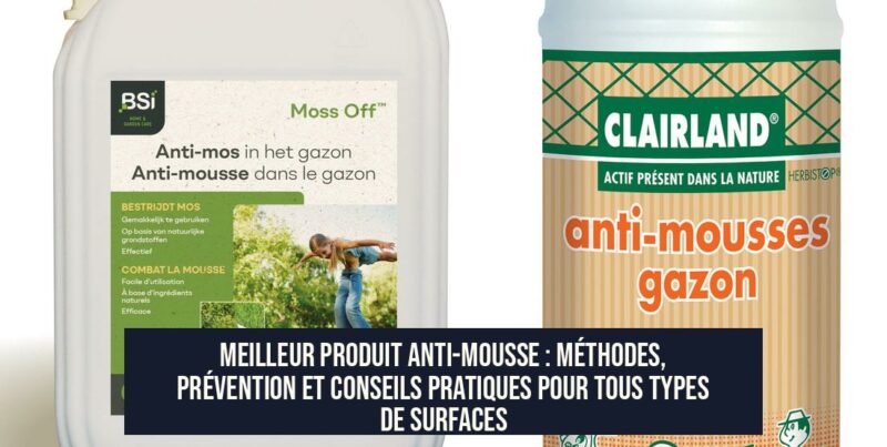 Meilleur produit anti-mousse : méthodes, prévention et conseils pratiques pour tous types de surfaces