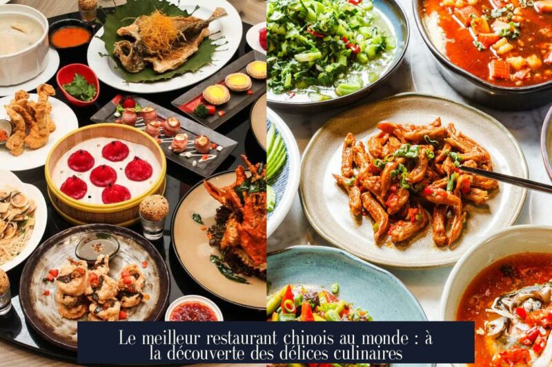 Le meilleur restaurant chinois au monde : à la découverte des délices culinaires
