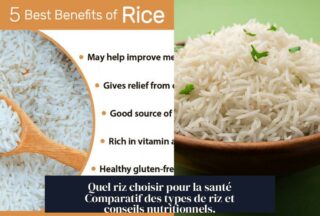 Quel riz choisir pour la santé Comparatif des types de riz et conseils nutritionnels.