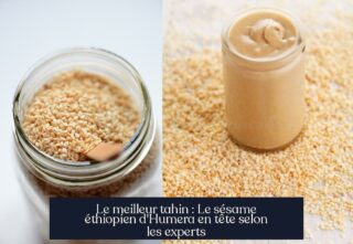 Le meilleur tahin : Le sésame éthiopien d'Humera en tête selon les experts