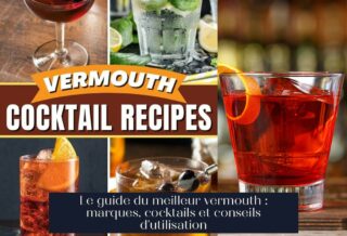 Le guide du meilleur vermouth : marques, cocktails et conseils d'utilisation