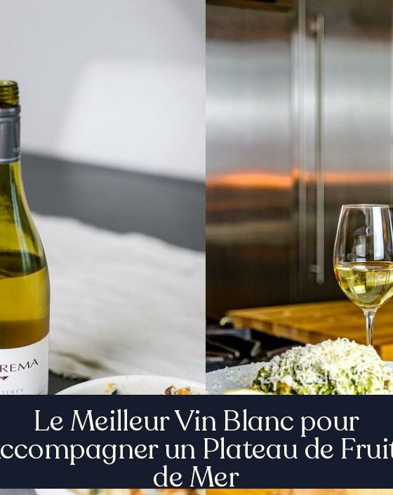 Le Meilleur Vin Blanc pour Accompagner un Plateau de Fruits de Mer