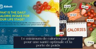Le minimum de calories par jour pour une santé optimale et la perte de poids