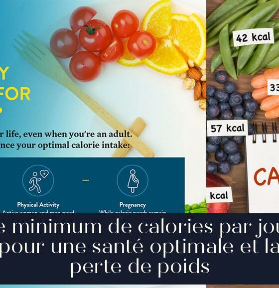 Le minimum de calories par jour pour une santé optimale et la perte de poids