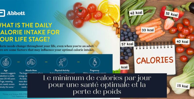 Le minimum de calories par jour pour une santé optimale et la perte de poids