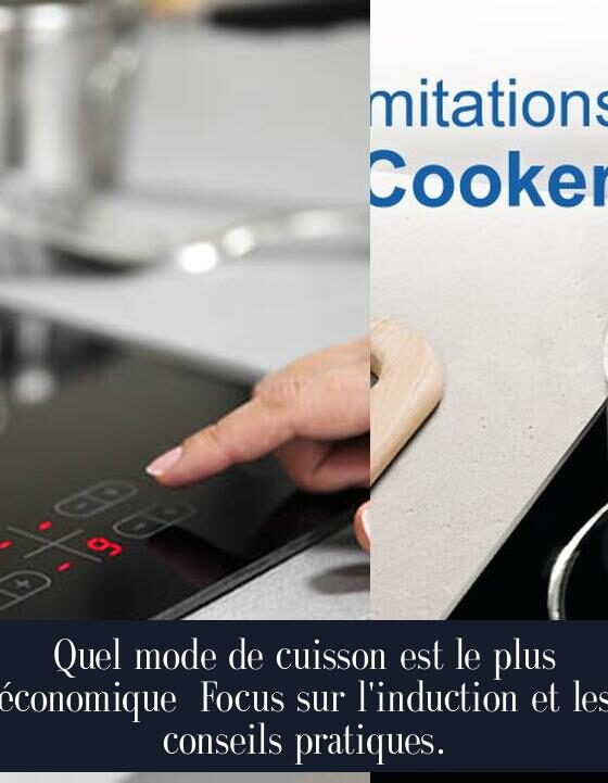 Quel mode de cuisson est le plus économique Focus sur l'induction et les conseils pratiques.