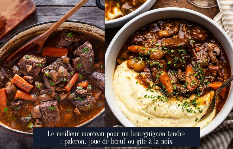 Le meilleur morceau pour un bourguignon tendre : paleron, joue de bœuf ou gîte à la noix