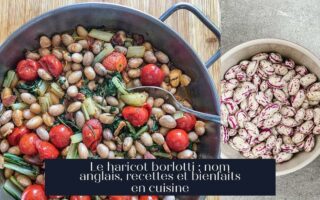 Le haricot borlotti : nom anglais, recettes et bienfaits en cuisine