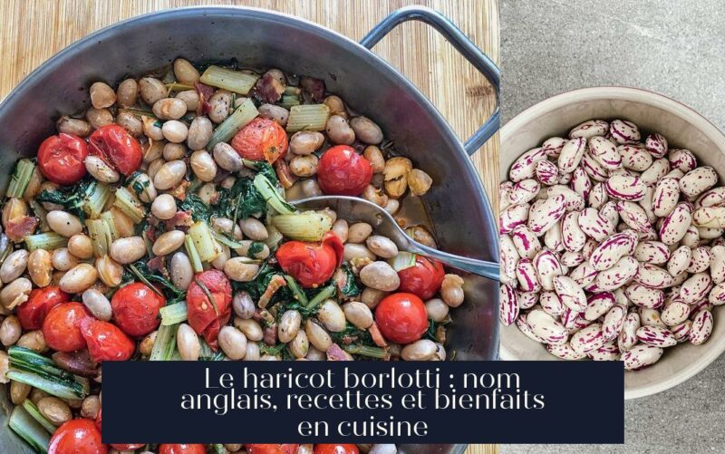 Le haricot borlotti : nom anglais, recettes et bienfaits en cuisine