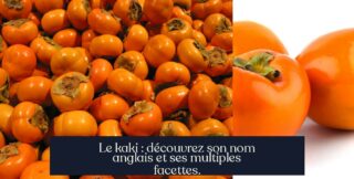 Le kaki : découvrez son nom anglais et ses multiples facettes.