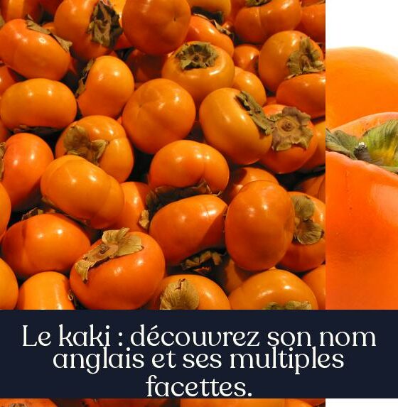 Le kaki : découvrez son nom anglais et ses multiples facettes.