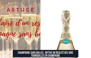 Champagne sans bulles : Mythe ou réalité des vins tranquilles en Champagne