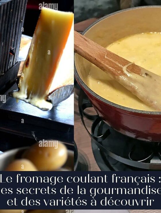 Le fromage coulant français : les secrets de la gourmandise et des variétés à découvrir