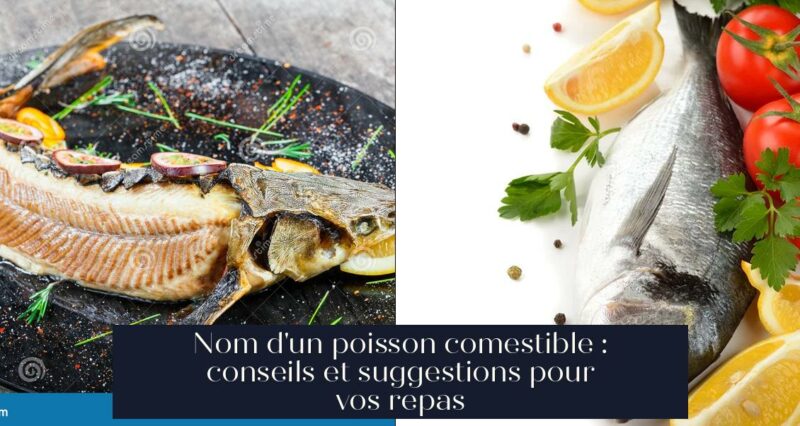 Nom d'un poisson comestible : conseils et suggestions pour vos repas