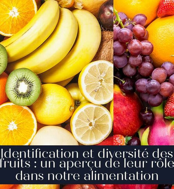 Identification et diversité des fruits : un aperçu de leur rôle dans notre alimentation