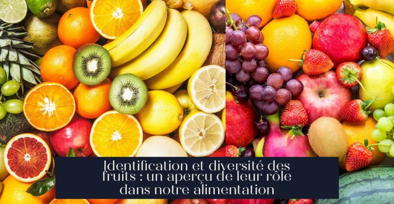 Identification et diversité des fruits : un aperçu de leur rôle dans notre alimentation