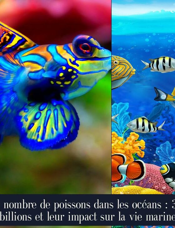 Le nombre de poissons dans les océans : 3,5 billions et leur impact sur la vie marine