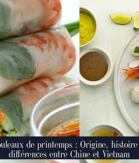 Rouleaux de printemps : Origine, histoire et différences entre Chine et Vietnam