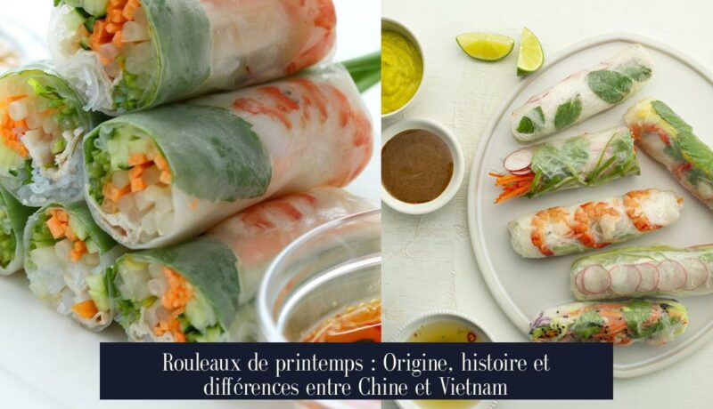 Rouleaux de printemps : Origine, histoire et différences entre Chine et Vietnam