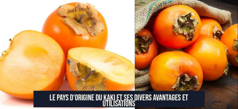 Le pays d'origine du kaki et ses divers avantages et utilisations