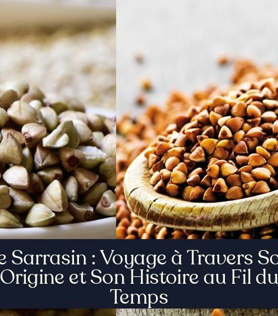Le Sarrasin : Voyage à Travers Son Origine et Son Histoire au Fil du Temps