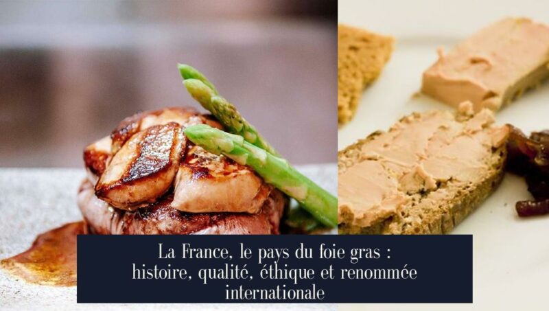 La France, le pays du foie gras : histoire, qualité, éthique et renommée internationale