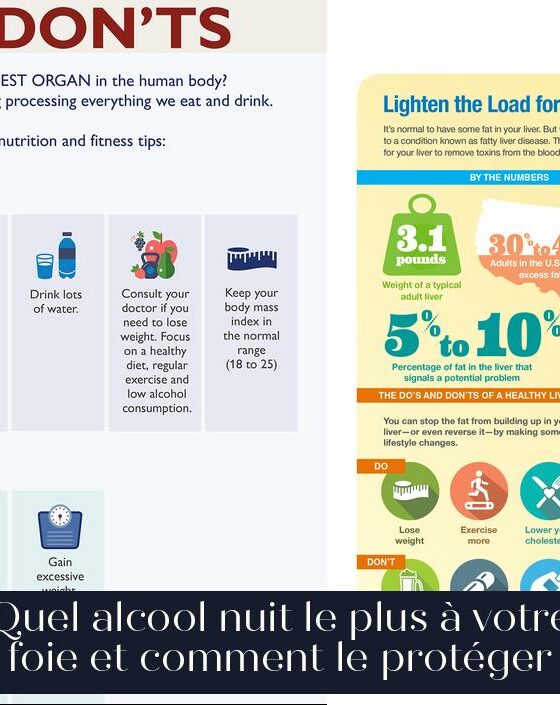 Quel alcool nuit le plus à votre foie et comment le protéger