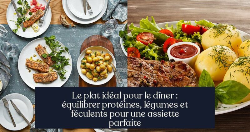 Le plat idéal pour le dîner : équilibrer protéines, légumes et féculents pour une assiette parfaite