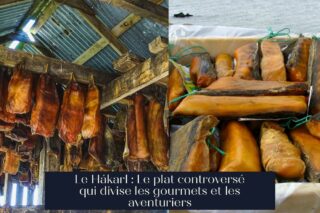 Le Hákarl : Le plat controversé qui divise les gourmets et les aventuriers