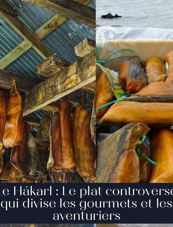 Le Hákarl : Le plat controversé qui divise les gourmets et les aventuriers