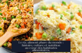 Le riz, aliment phare du monde : histoire, culture et nutrition au cœur des habitudes alimentaires.
