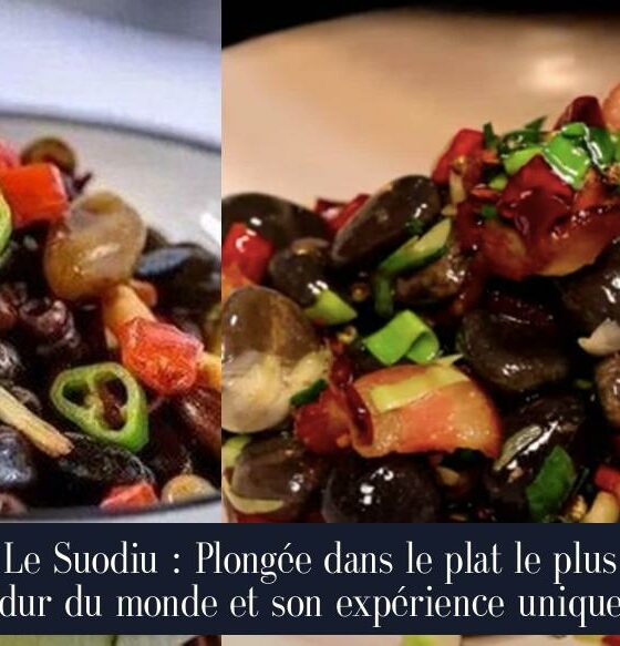 Le Suodiu : Plongée dans le plat le plus dur du monde et son expérience unique