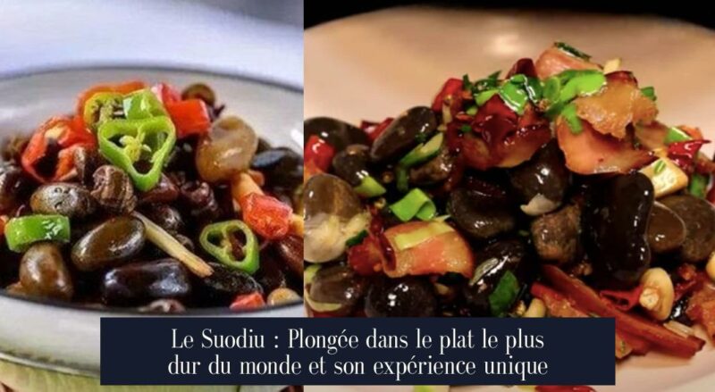 Le Suodiu : Plongée dans le plat le plus dur du monde et son expérience unique