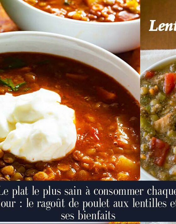 Le plat le plus sain à consommer chaque jour : le ragoût de poulet aux lentilles et ses bienfaits