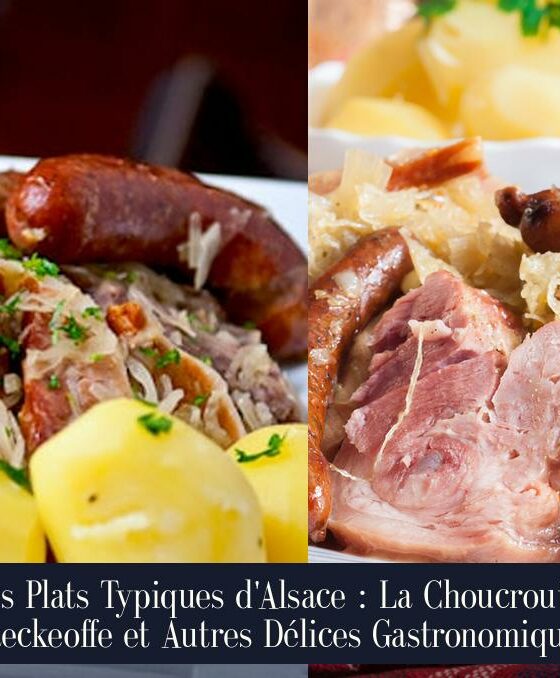 Les Plats Typiques d'Alsace : La Choucroute, Baeckeoffe et Autres Délices Gastronomiques