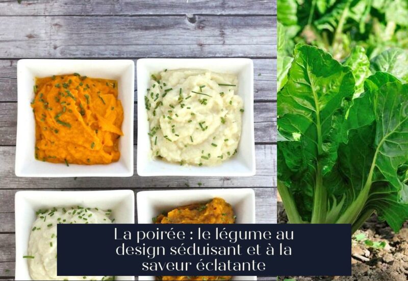 La poirée : le légume au design séduisant et à la saveur éclatante