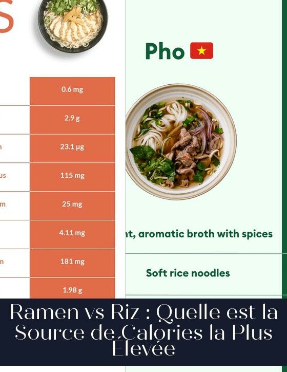 Ramen vs Riz : Quelle est la Source de Calories la Plus Élevée