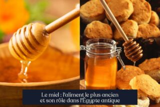 Le miel : l'aliment le plus ancien et son rôle dans l'Égypte antique