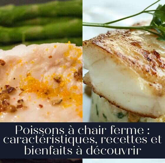Poissons à chair ferme : caractéristiques, recettes et bienfaits à découvrir