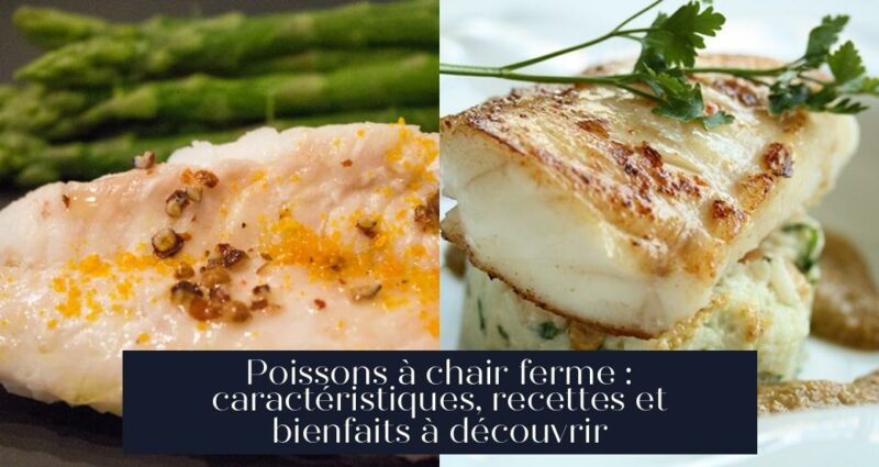 Poissons à chair ferme : caractéristiques, recettes et bienfaits à découvrir