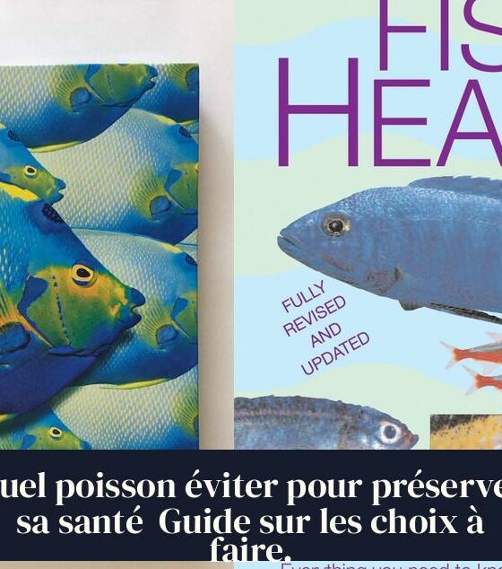 Quel poisson éviter pour préserver sa santé Guide sur les choix à faire.