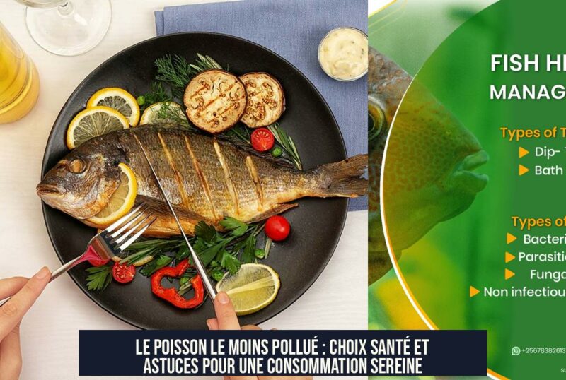 Le poisson le moins pollué : choix santé et astuces pour une consommation sereine