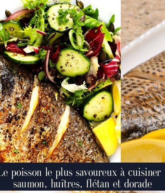 Le poisson le plus savoureux à cuisiner : saumon, huîtres, flétan et dorade