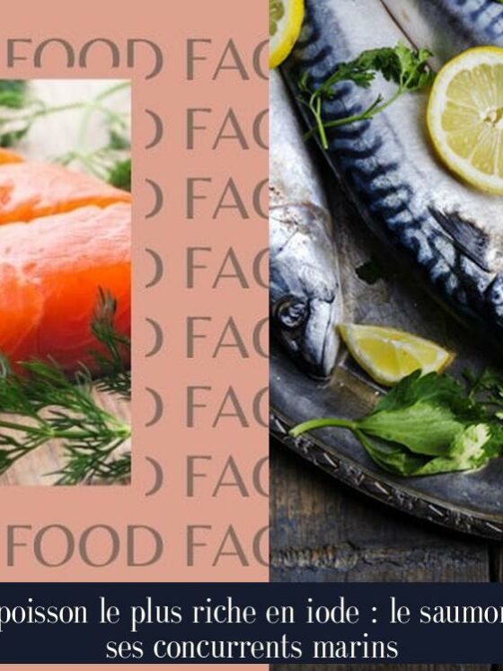 Le poisson le plus riche en iode : le saumon et ses concurrents marins