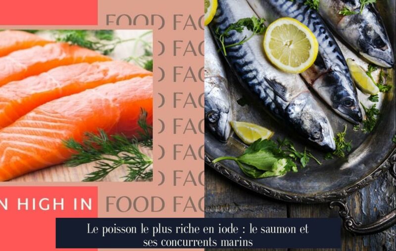 Le poisson le plus riche en iode : le saumon et ses concurrents marins