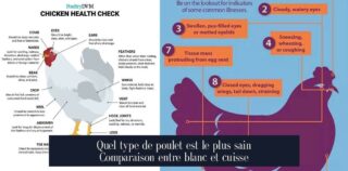 Quel type de poulet est le plus sain Comparaison entre blanc et cuisse