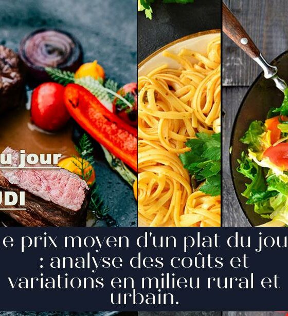 Le prix moyen d'un plat du jour : analyse des coûts et variations en milieu rural et urbain.