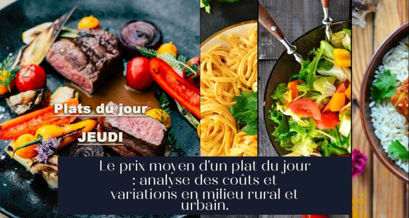 Le prix moyen d'un plat du jour : analyse des coûts et variations en milieu rural et urbain.