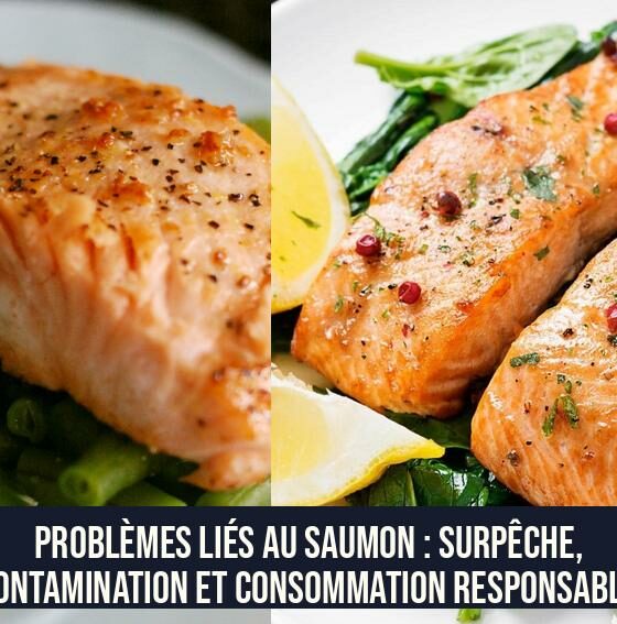 Problèmes liés au saumon : surpêche, contamination et consommation responsable